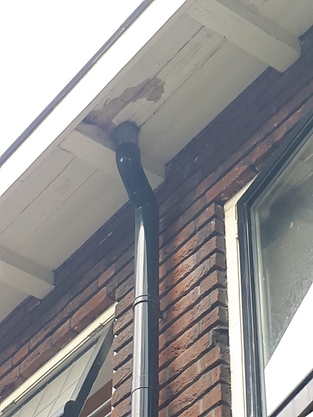  reparatie ontstoppen dakgoot Schiedam